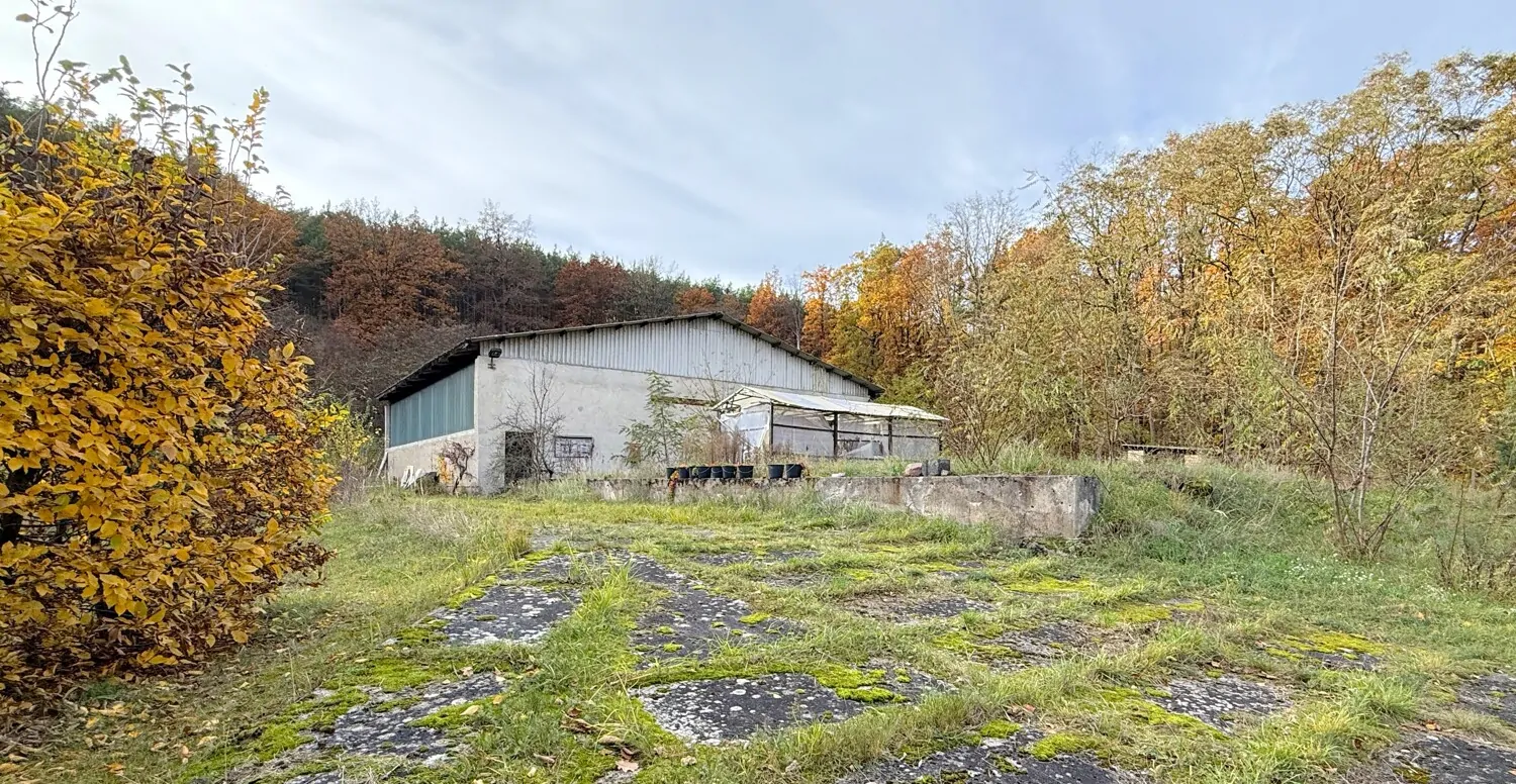 Großes Grundstück, große Halle und vielseitige Nutzungsmöglichkeiten