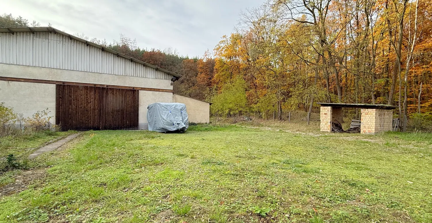 Großes Grundstück, große Halle und vielseitige Nutzungsmöglichkeiten