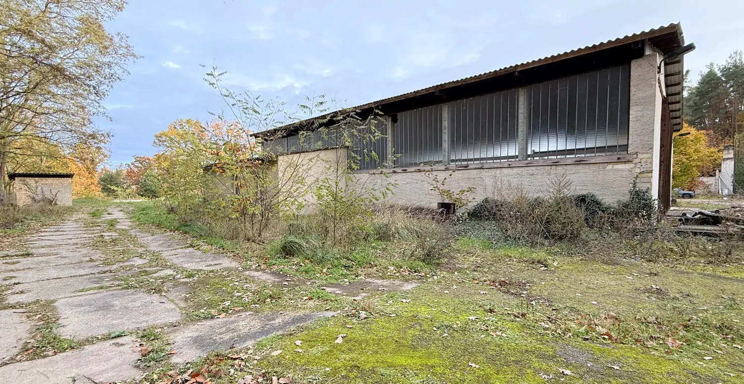 Großes Grundstück, große Halle und vielseitige Nutzungsmöglichkeiten