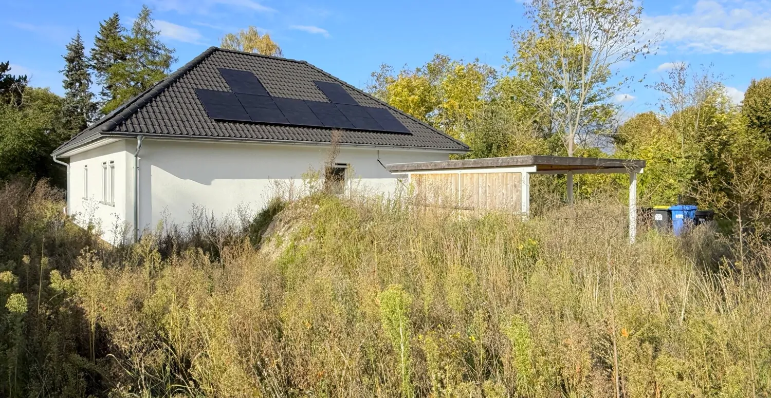 Vorgarten mit Potenzial