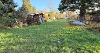 von_poll_real_estate_property_25165085_image_17