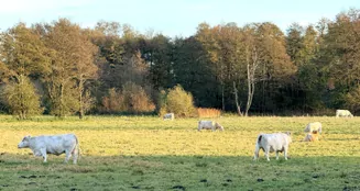 von_poll_real_estate_property_25165082_image_23