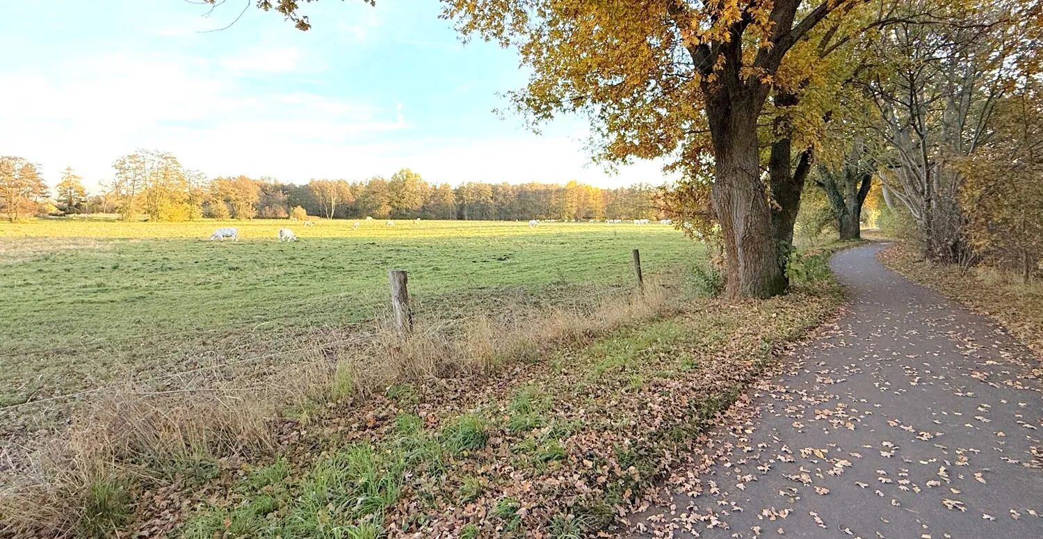 Rad- und Wanderweg an der Grundstücksgrenze