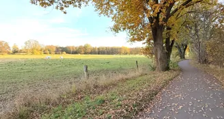 von_poll_real_estate_property_25165082_image_22