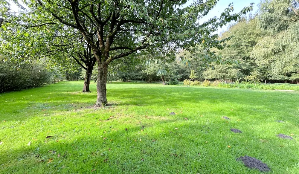 weitläcufige Freiflächen hinter der Grundstücksgrenzen