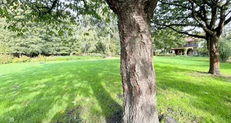 von_poll_real_estate_property_25165084_image_13