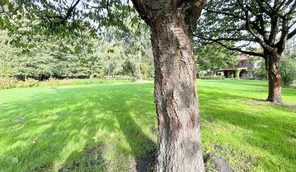 Garten hinter der Scheune mit angrenzender Freifläche