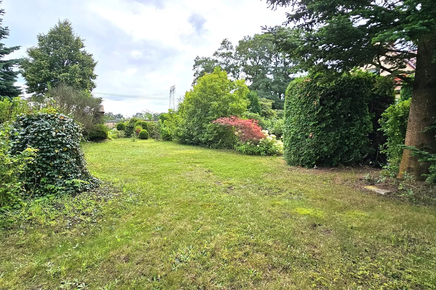 ca. 2.500 m² Grundstück