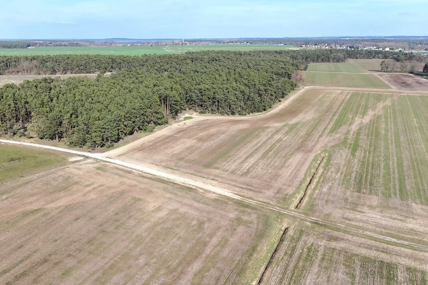 weiläufige Felder und Wälder an der Grundstücksgrenze
