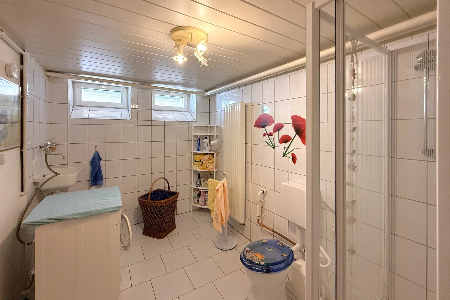 Waschküche mit WC und Dusche im Keller