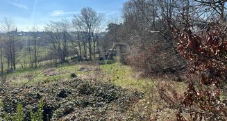 von_poll_real_estate_property_25365012_image_3