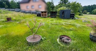 von_poll_real_estate_property_25365013_image_18