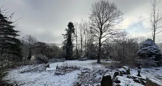 von_poll_real_estate_property_25365031_image_12