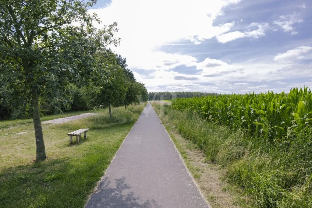Radweg in die Natur