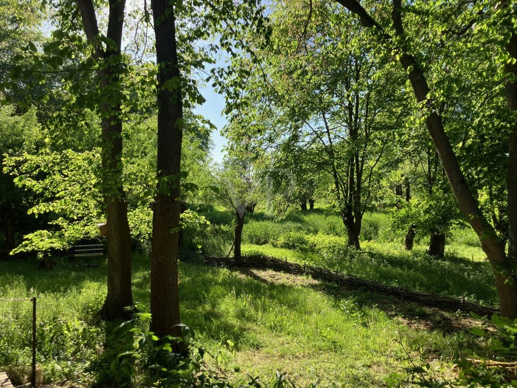 Blick aus der Scheune