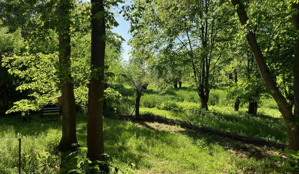 Blick aus der Scheune