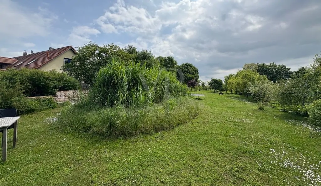 weitläufiges Grundstück