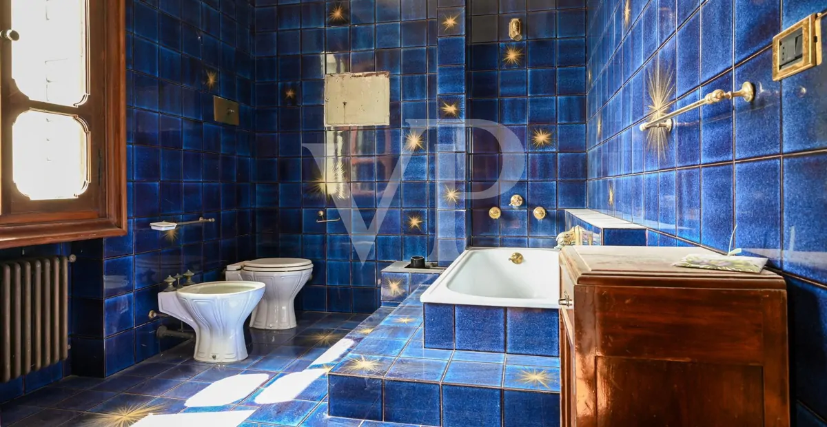 Villla with wonderful park