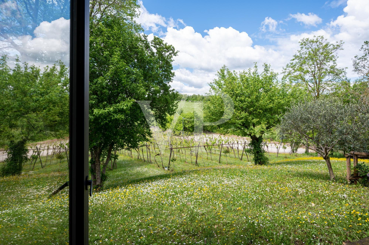 Meraviglioso casale sui colli berici