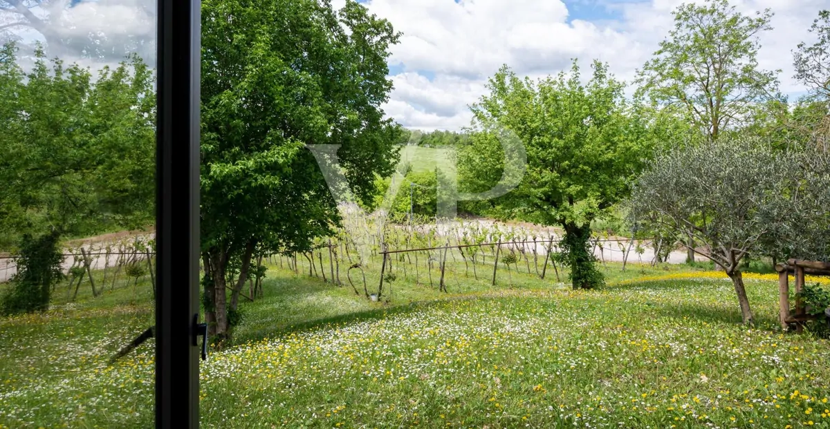Maravillosa granja en las colinas de Berici
