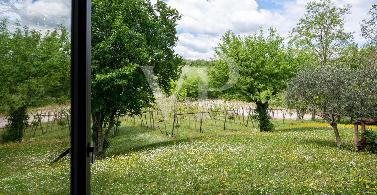 Wonderful Country-house in the berici hills - equipped as Restaurant and Hotel