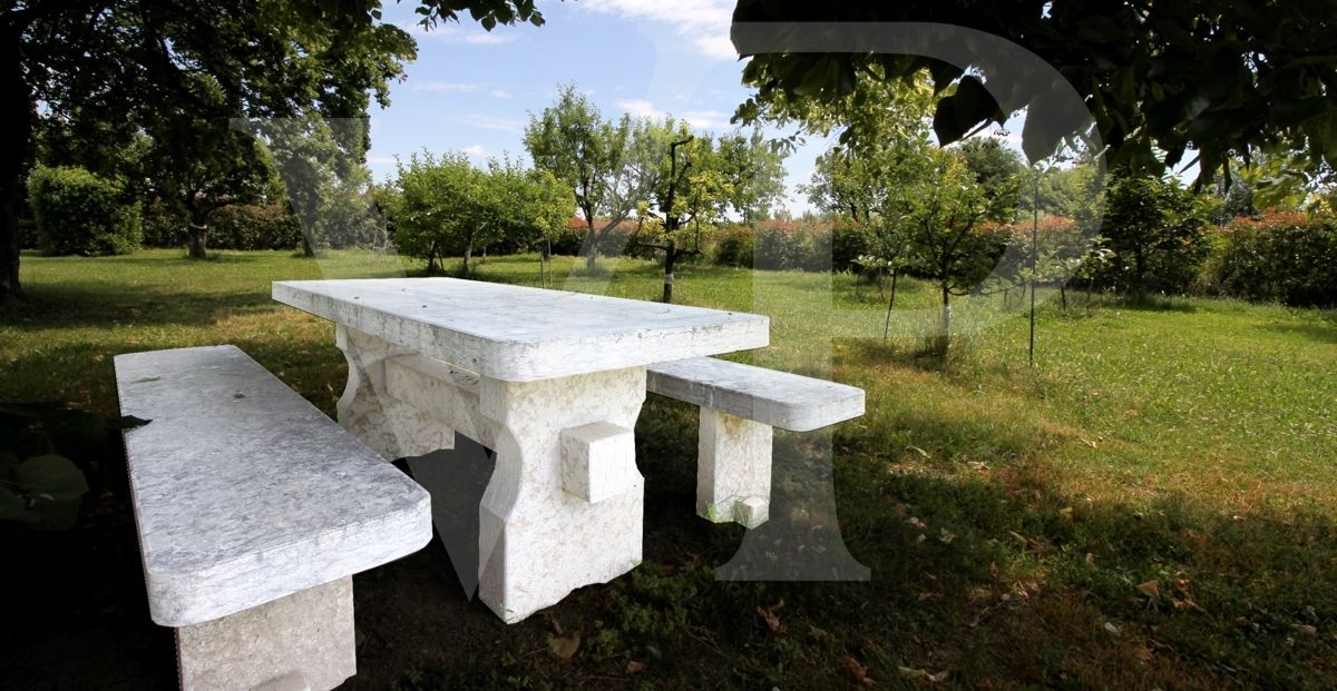 Area Barbecue