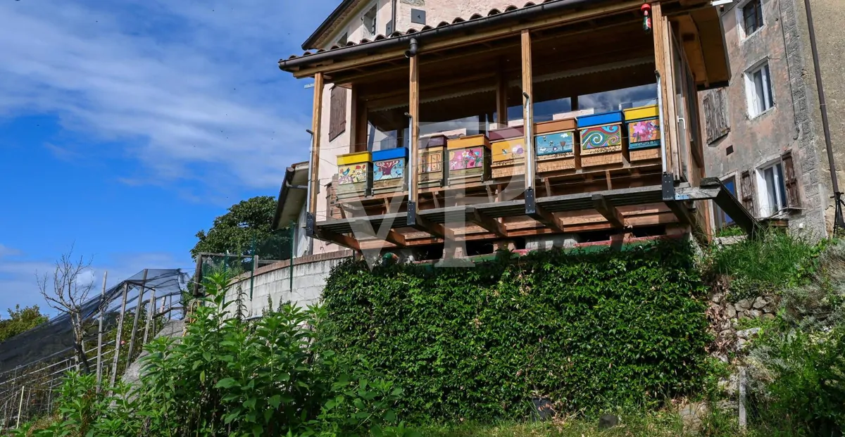 Granja en posición panorámica en las colinas de Marostica