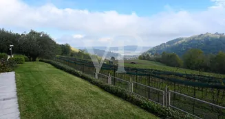 von_poll_real_estate_property_IT233551151_image_38