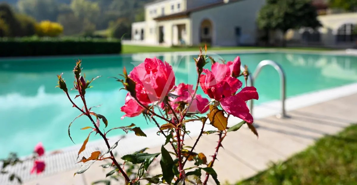 Elegante freistehende Villa: Luxus und Entspannung in den Hügeln mit privatem Pool