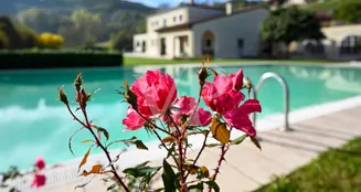 von_poll_real_estate_property_IT233551151_image_125