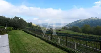 von_poll_real_estate_property_IT233551151_image_122