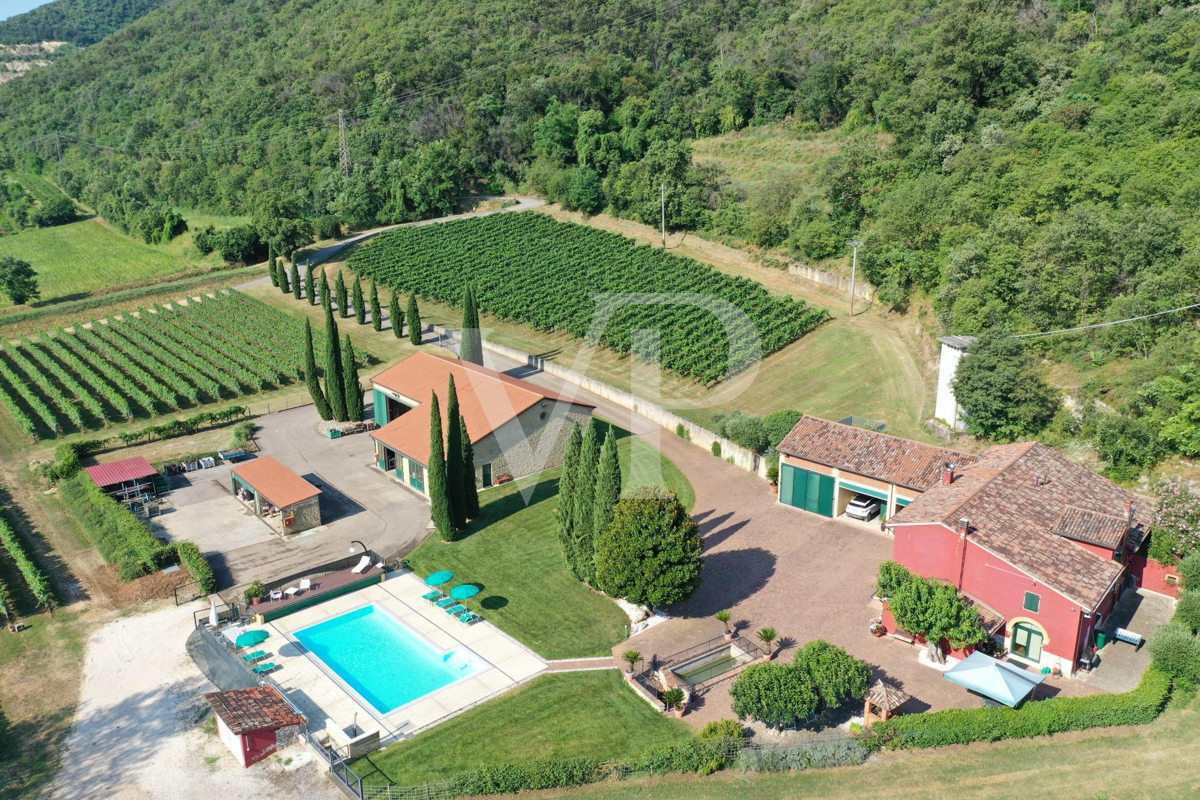 Agricoltura di eccellenza e Stile di Vita: Proprietà Unica con Vigneto e Terreni a Sossano