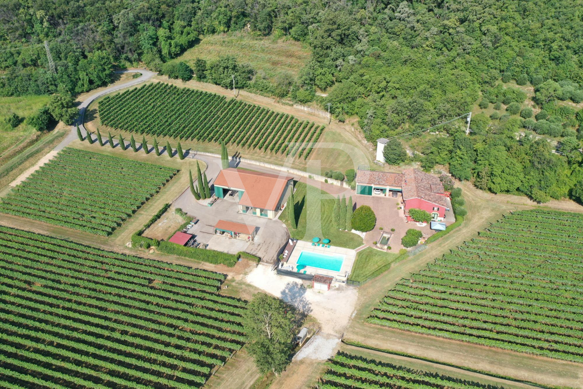 Agriculture d'excellence et style de vie : propriété unique avec vignoble et terrain à Sossano