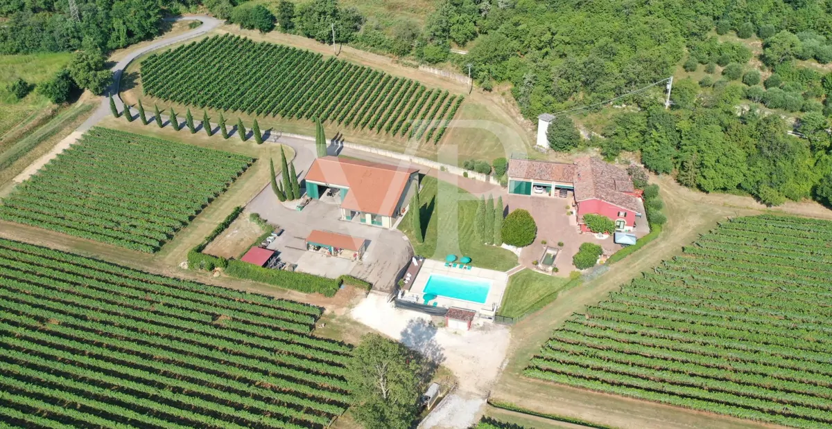 Agricultura de excelencia y estilo de vida: Propiedad única con viñedo y terreno en Sossano
