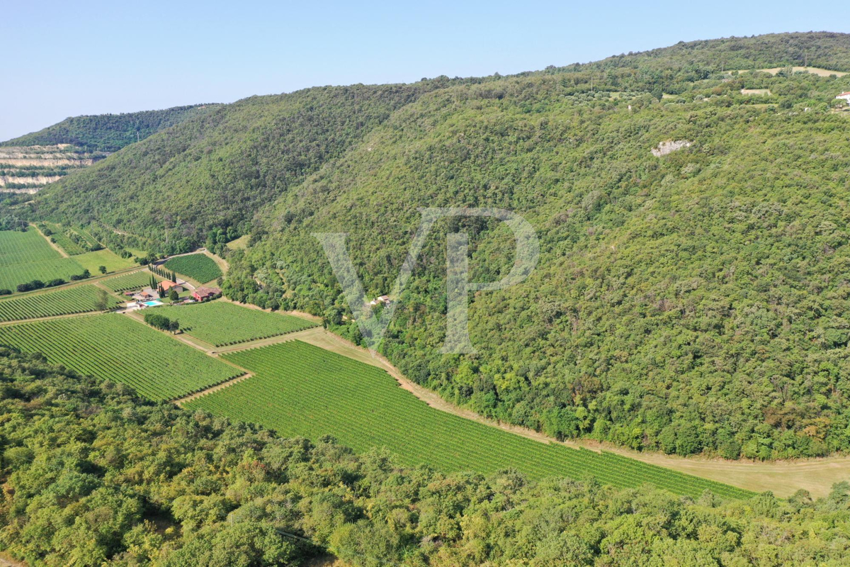 Agriculture d'excellence et style de vie : propriété unique avec vignoble et terrain à Sossano