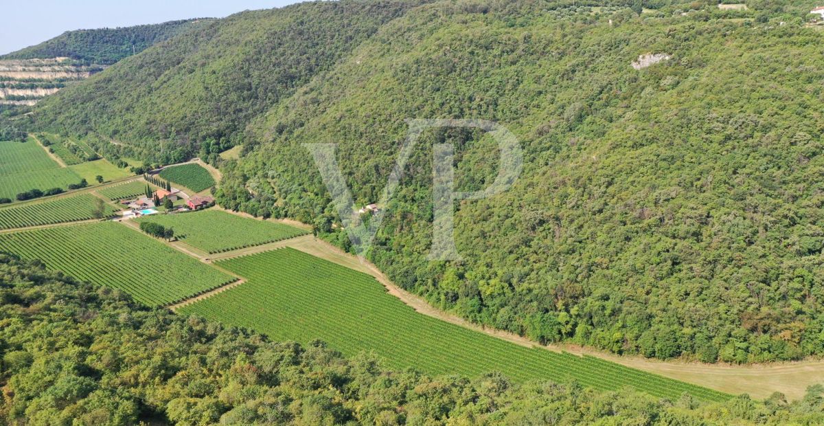 Agriculture of Excellence and Lifestyle: Unique Property with Vineyard and Land in Sossano