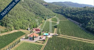 von_poll_real_estate_property_IT243551320_image_0