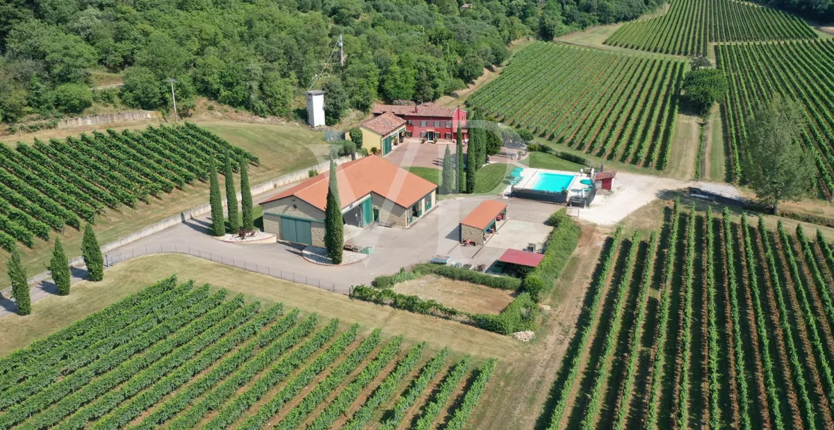 Agricultura de excelencia y estilo de vida: Propiedad única con viñedo y terreno en Sossano