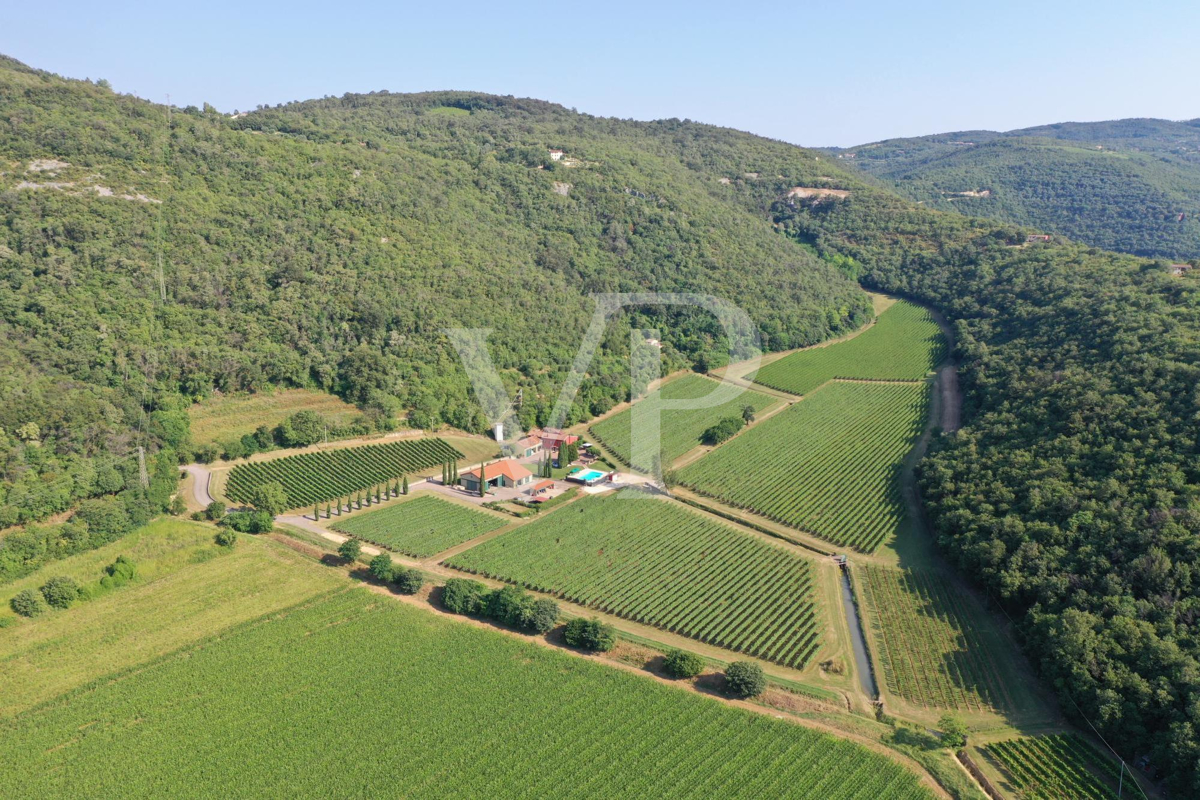 Agriculture d'excellence et style de vie : propriété unique avec vignoble et terrain à Sossano