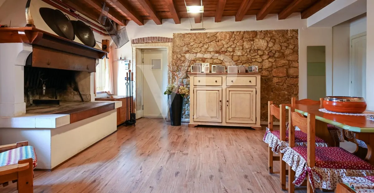 Agricultura de excelencia y estilo de vida: Propiedad única con viñedo y terreno en Sossano