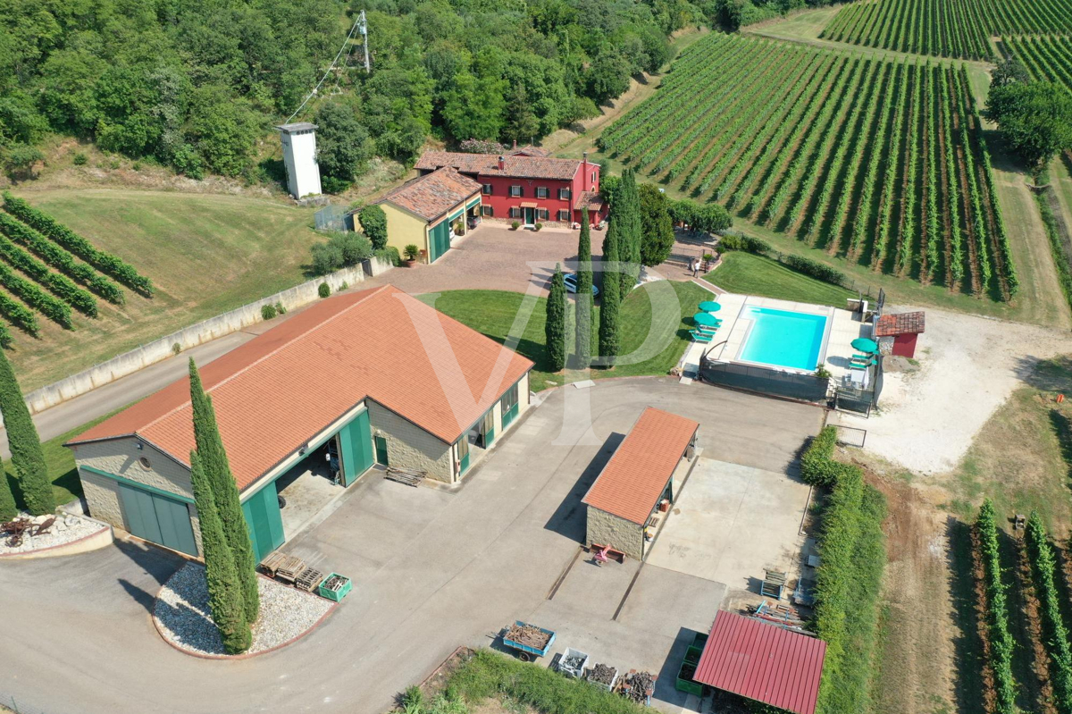 Agriculture d'excellence et style de vie : propriété unique avec vignoble et terrain à Sossano