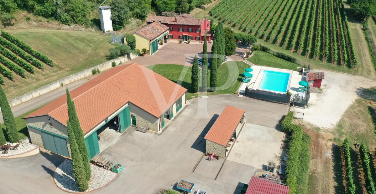 Agricultura de excelencia y estilo de vida: Propiedad única con viñedo y terreno en Sossano