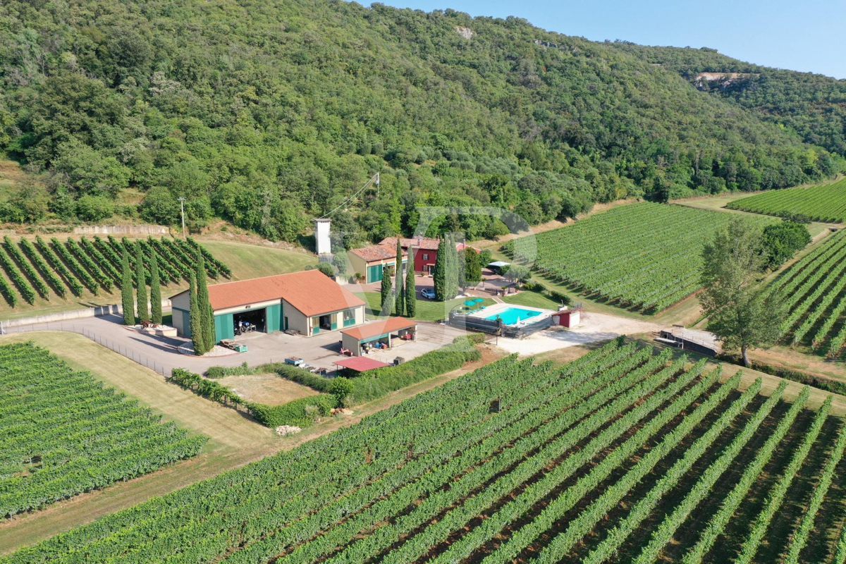 Agriculture d'excellence et style de vie : propriété unique avec vignoble et terrain à Sossano