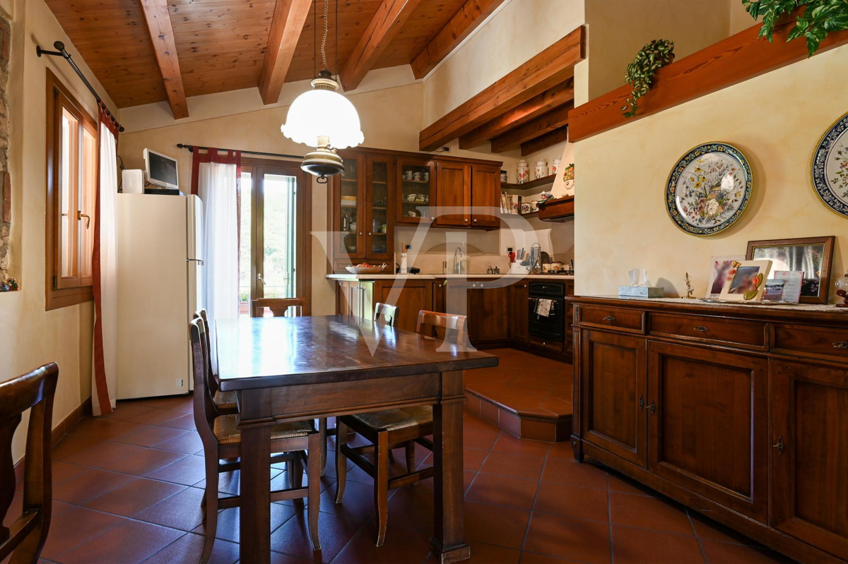 Wonderful Villa with park in the Berici Hills