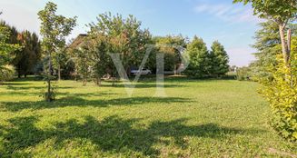 von_poll_real_estate_property_IT243551412_image_4