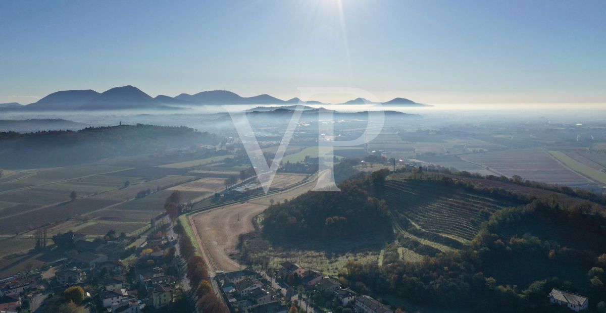 Un coin de paradis dans les collines de Barbarano Mossano