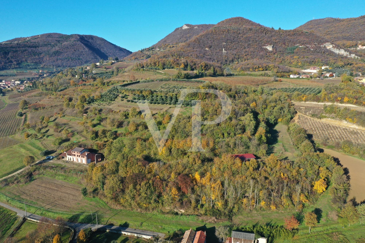 A corner of paradise in the hills of Barbarano Mossano