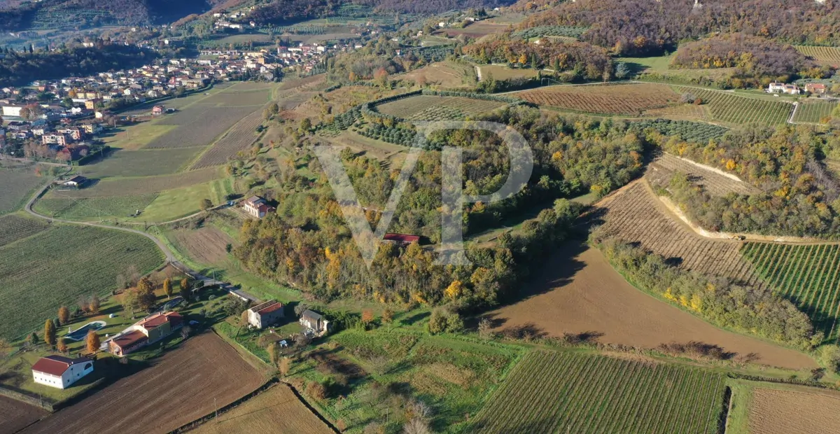 Un rincón de paraíso en las colinas de Barbarano Mossano