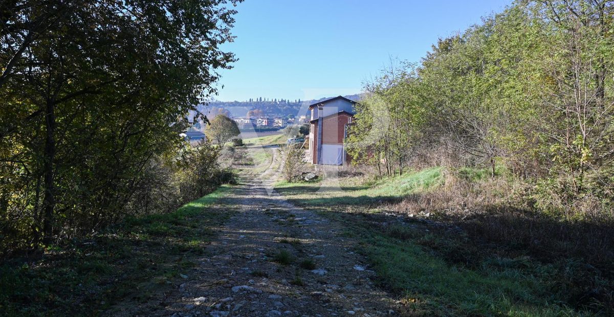 Un coin de paradis dans les collines de Barbarano Mossano