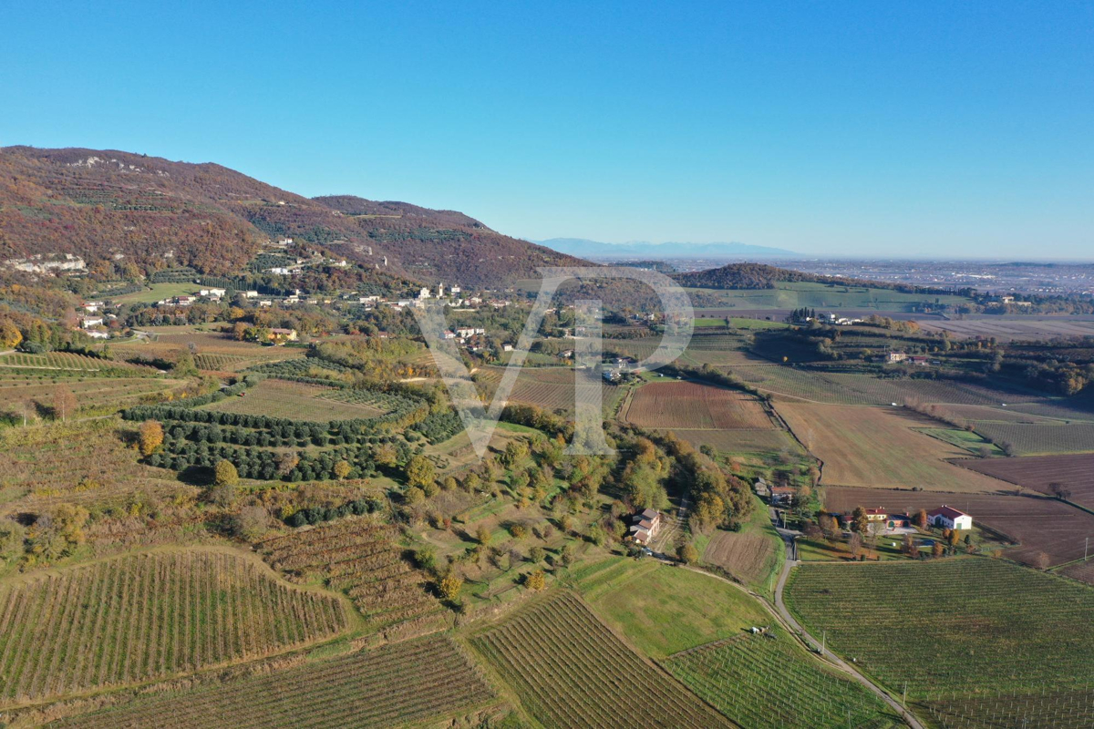 A corner of paradise in the hills of Barbarano Mossano